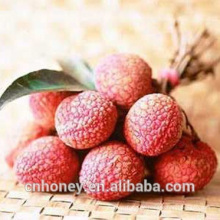 Reiner litchi honig